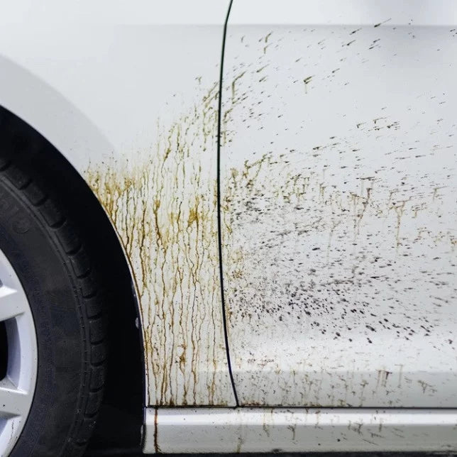 Tea TEERWASCHE A – Dégoudronnant puissant